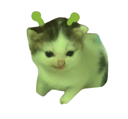 alien cat